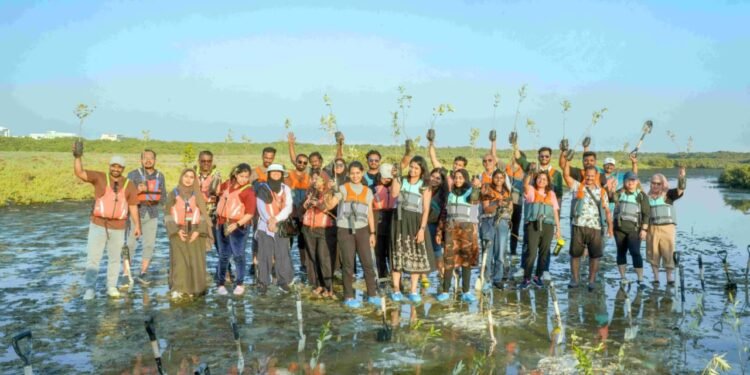 Hotpack sets an example in environmental conservation; hundreds of mangrove saplings planted in Ajman.