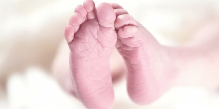 UAE simplifies newborn registration with new measures.