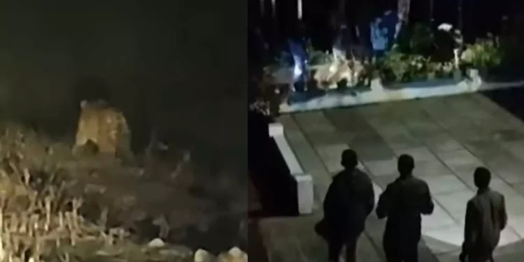 വീണ്ടും പുലിഭീതി; വയനാട്ടിൽ ജനവാസമേഖലയിൽ മൂന്നിടത്ത് പുലിയിറങ്ങി, കുന്നംപറ്റയിൽ വളർത്തുനായയെ കൊന്നു