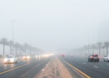 Fog-related accidents decline; death rate decreases in Abu Dhabi.
