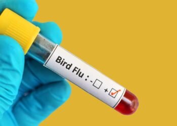 Avian flu confirmed in a dead crow in Kannur; District Collector issues alert