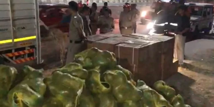 പാലക്കാട്ട് തണ്ണിമത്തൻ ചാക്കുകൾക്കിടയിൽ സ്ഫോടകശേഖരം; ലോറി പൊലീസ് പിടിയിൽ