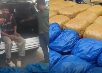 തിരുവനന്തപുരം പാപ്പനംകോട് ലഹരി വേട്ട: 100 കിലോ കഞ്ചാവ് പിടികൂടി, ഒരാൾ പിടിയിൽ