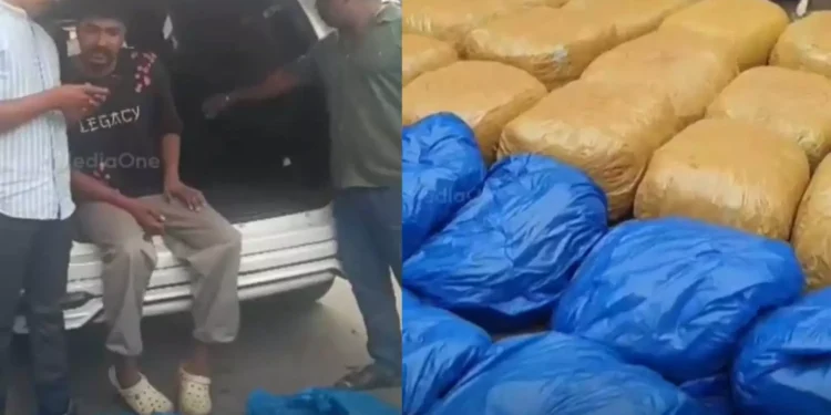 തിരുവനന്തപുരം പാപ്പനംകോട് ലഹരി വേട്ട: 100 കിലോ കഞ്ചാവ് പിടികൂടി, ഒരാൾ പിടിയിൽ