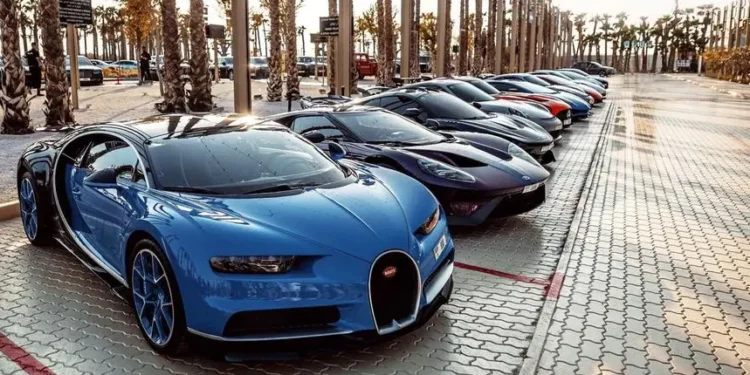 ഷാർജയിൽ ഇന്ന് മുതൽ പുതിയ വാഹന നമ്പർപ്ലേറ്റുകൾ; അപേക്ഷകൾ സ്വീകരിക്കുന്നു