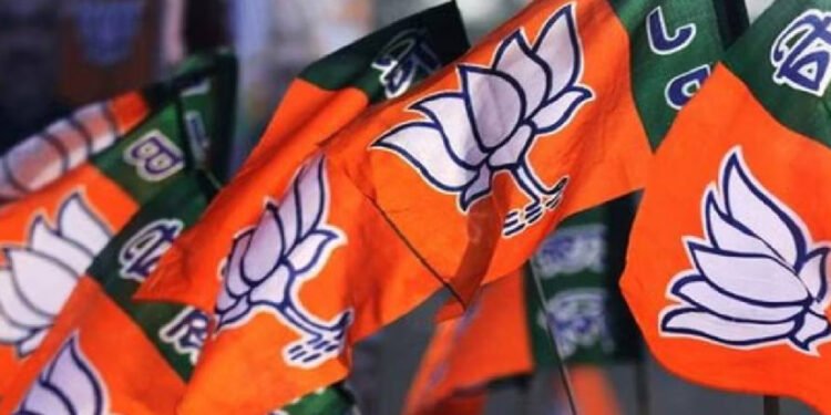 രാഷ്ട്രീയ പാർട്ടികൾക്ക് സംഭാവന: ബി.ജെ.പി ബഹുദൂരം മുന്നിൽ