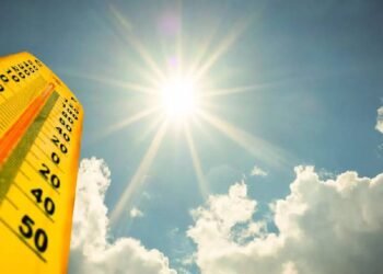 Scorching heat grips Kerala; yellow alert in 11 districts as temperatures rise to 37°C