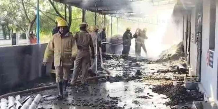 തമിഴ്നാട്ടിൽ പടക്കശാലയിൽ സ്ഫോടനം; 19 പേർ മരിച്ചു