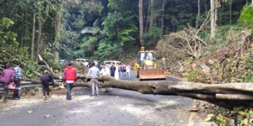 ചുരത്തിലെ വീതികൂട്ടൽ പ്രവൃത്തി ഉടൻ തുടങ്ങും