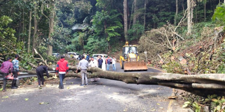 ചുരത്തിലെ വീതികൂട്ടൽ പ്രവൃത്തി ഉടൻ തുടങ്ങും
