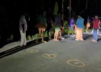 അരിമുളയിൽ കടുവ ഭീതി തുടരുന്നു; രാത്രിയിൽ വീണ്ടും കണ്ടതായി നാട്ടുകാർ