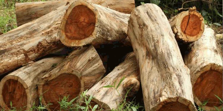 മുട്ടിൽ മരംമുറി കേസ്: മുൻ കലക്ടർ ഉൾപ്പെടെ ആറുപേർക്ക് വക്കീൽ നോട്ടീസ്