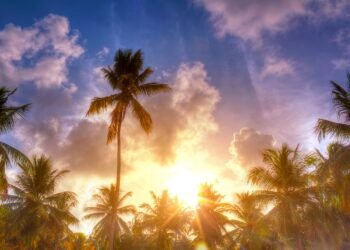 കൊടും ചൂട്; ഇടുക്കിയും വയനാടും ഒഴികെയുള്ള ജില്ലകളിൽ താപനില മുന്നറിയിപ്പ്