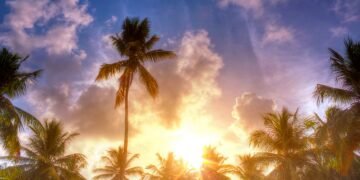 കൊടും ചൂട്; ഇടുക്കിയും വയനാടും ഒഴികെയുള്ള ജില്ലകളിൽ താപനില മുന്നറിയിപ്പ്