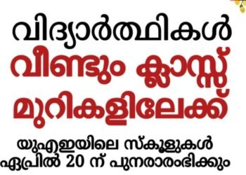 യുഎഇയിലെ സ്കൂളുകൾ തിങ്കളാഴ്ച മുതൽ സജീവമാകും; നേരിട്ടുള്ള അധ്യയനം പുനരാരംഭിക്കുന്നു
