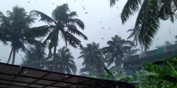 വേനൽമഴ ശക്തമാകുന്നു; ഇന്ന് മൂന്ന് ജില്ലകളിൽ യെല്ലോ അലർട്ട്