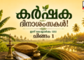 Farmers working in a paddy field in Kerala during the harvest season.