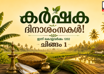 Farmers working in a paddy field in Kerala during the harvest season.