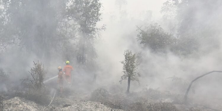 Dense wildfire haze across Kalimantan disrupts 409 flights in Indonesia as transport authorities enforce strict visibility safety protocols.