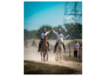 UAE riders led by Salem Hamad Malhoof Al Kitbi secured individual and team gold medals at the 120km FEI World Endurance Championship in Portugal.