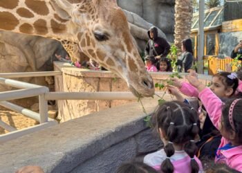 Abu Dhabi's Emirates Park Zoo expands curriculum-aligned wildlife education programmes for ADEK schools, promoting conservation and environmental science.