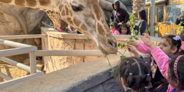 Abu Dhabi's Emirates Park Zoo expands curriculum-aligned wildlife education programmes for ADEK schools, promoting conservation and environmental science.