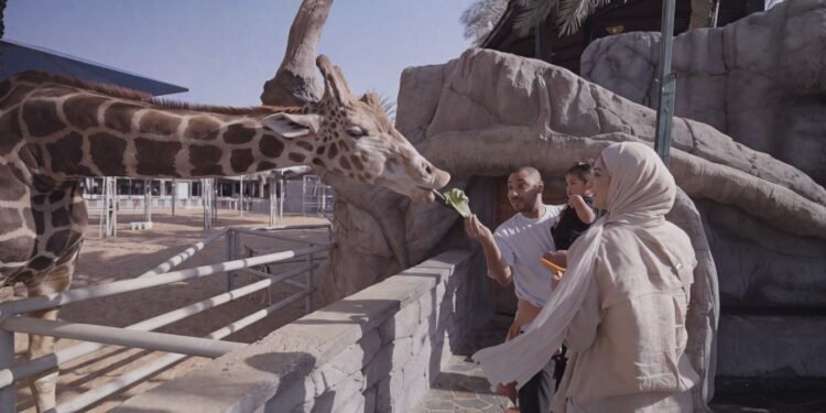 Emirates Park Zoo & Resort in Abu Dhabi rolls out winter outdoor activities, including hippo feeding, capybara encounters, live presentations, and wild dining.